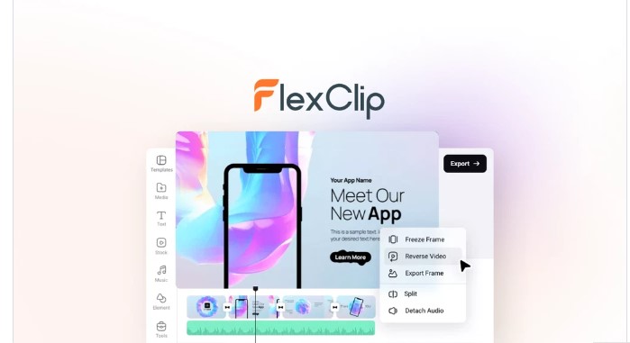 FlexClip Review - Lifetime Deal[$69]